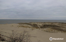 Nida Dunes