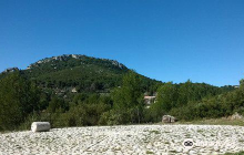 Plage Pour Les Chiens