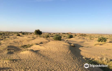 Damodra Desert Camp