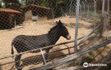 Parko - Zoologikos Kipos