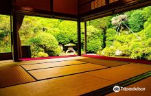 Shuji Morozumi Tetsukido