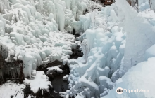 Saitama Kenmin No Mori