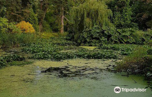 Fota House, Arboretum and Gard...
