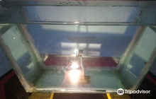 Birla Science Center