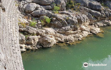 Kutaisi Botanical Garden