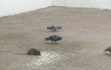 Cathedral of Bom Jesu