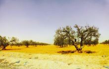 Military Museum Of Mareth Line