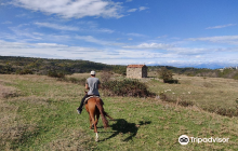 Living Roots Horse Ranch