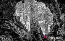 Museum Dewantara Kirti Griya