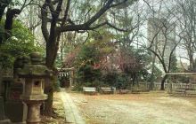 Hatomori Hachiman Shrine