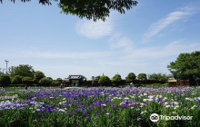 Yamato Chuo Park Hanashobuen