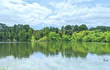 Belgrave Lake Park