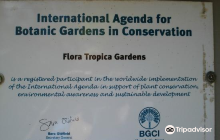 Flora Tropica Gardens