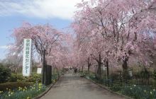 Yakuno Urushi Museum
