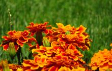 Parc Aventura Brasov