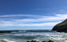 Isla Isabel生态保护区