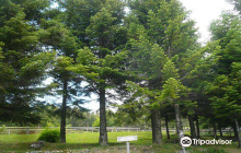 Chiesa dei Santi Apostoli Piet...