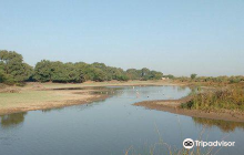 Khijadiya Bird Sanctuary