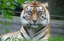 Solace on Turnberry Spa, Shop ...