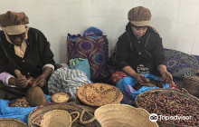 Argan Fields