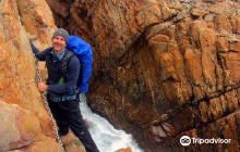 Boschrivier Farm  Stables