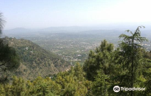 Ayuskama Ayurveda Institute