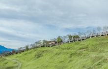 池南国家森林游乐区