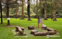 Tiny Feet Fairy Garden