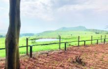 Mount Longonot National Park