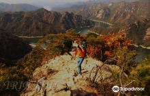 Daesong Mountain Forest Bath