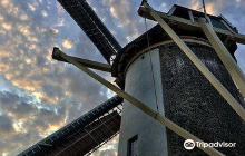 Molen