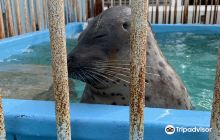 Ota Town Ishigaki Memorial Hal...