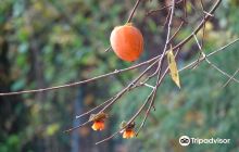 Keishu Takahashi Memorial