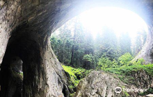 The Wonderful Bridges