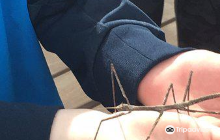 Charles Clore Garden