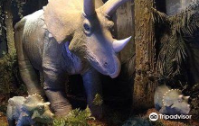 Historic 25th Street