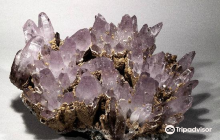 Mineralogy Museum