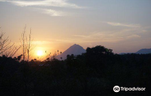 Vaidyagrama Healing Village