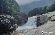 Elephant Springs