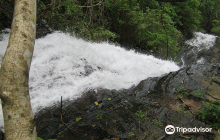 Pattathipara Waterfall