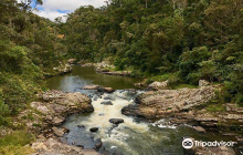 Ranomafana National Park