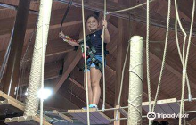 Alligator Alley Adventures