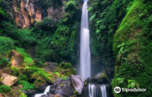 Coban Talun Waterfall