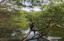 Bosque El Canoncillo