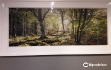 Norman McCloskey Photography