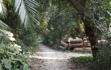 Chintamoni Kar Sangrahalay