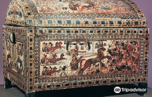 Discount Dragon Aquarium