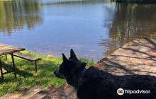 Magic Mountain Ski Area