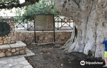 Farm House Agrotospito