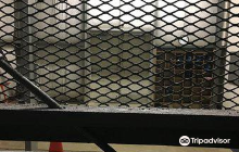 Yoder Amish Community